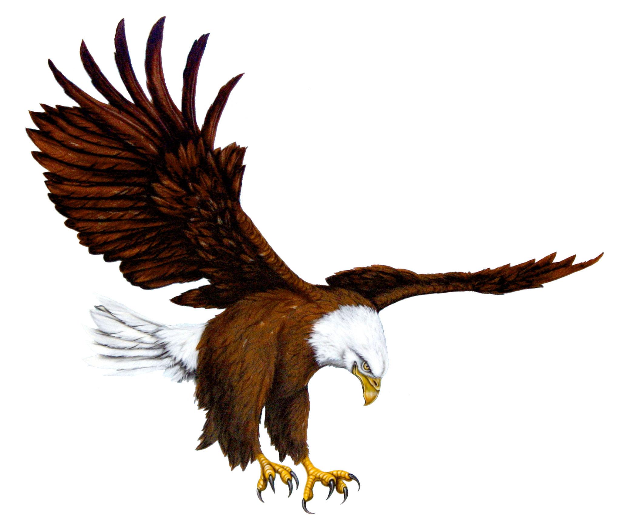 White and Blue Eagles Logo - Lakes Eagles Logo