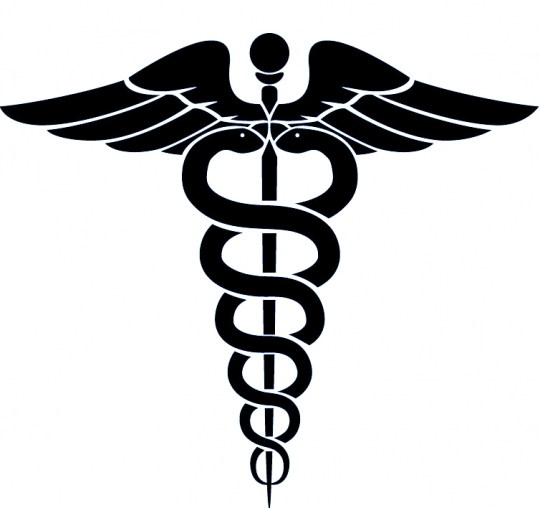 Black and White Medical Logo - medical wings. Medical Icon. Vector logo with serpent, snake