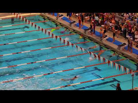 Tags Swimming 2018 Logo - 10 & Under Girls 400 Free Relay (TAGS 2018 LCM) - YouTube