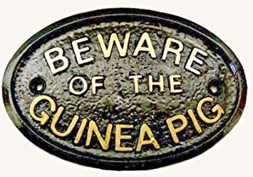 Gold and Black House Logo - Artisan BEWARE OF THE GUINEA PIG HOUSE GARDEN WALL PLAQUE BLACK