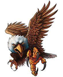 Bald Eagle Logo - Bald eagle image about eagle logo study on logo design clipart