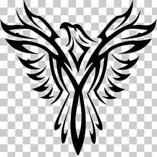 Bald Eagle Logo - Bald Eagle Drawing Bird, american eagle, eagle logo PNG clipart