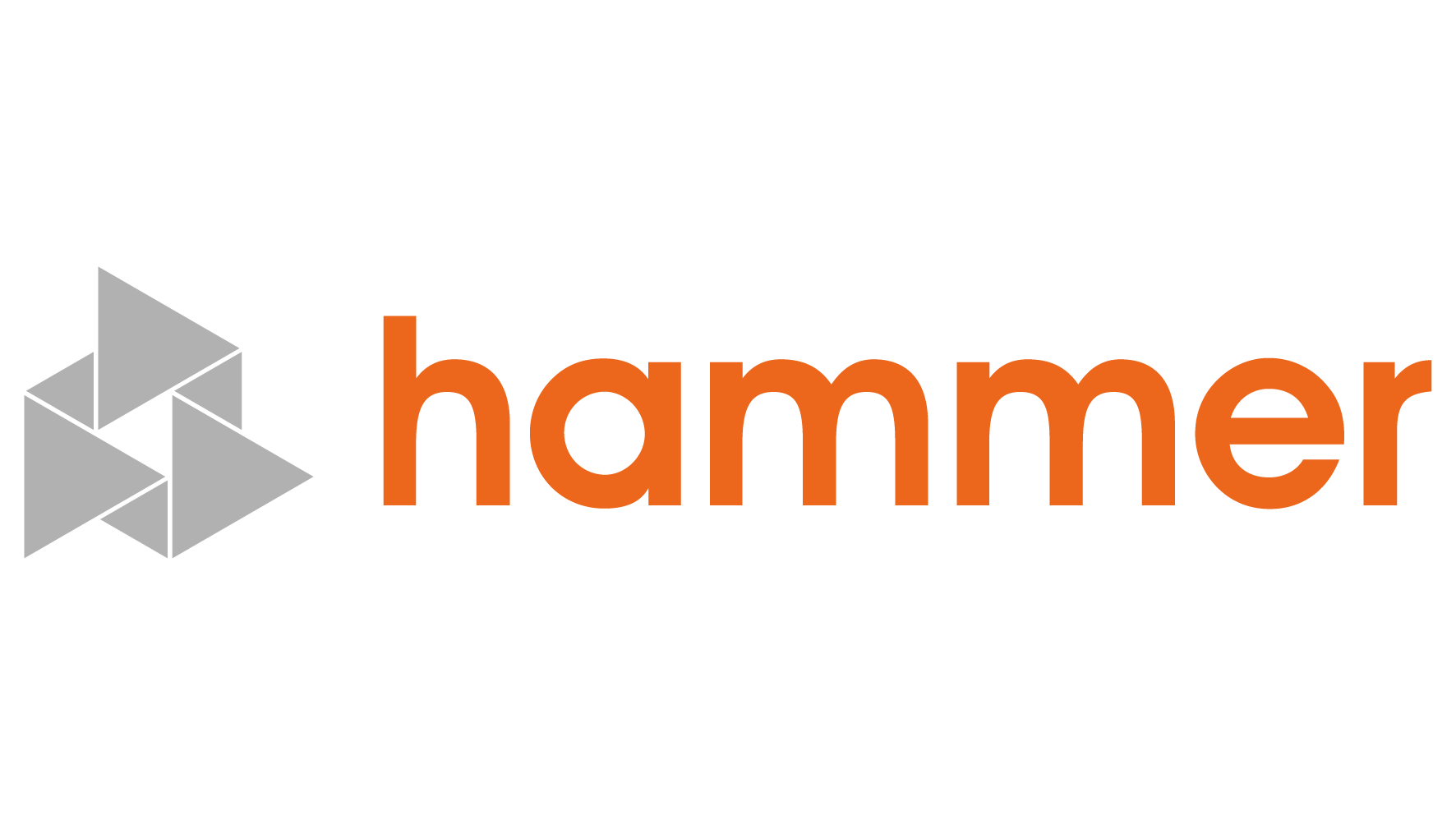 Hammer Triangle Logo - Storage Focus