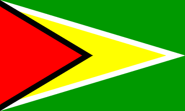 Striped Green Yellow Triangle Logo - Guyana
