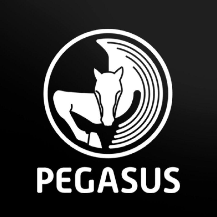 Pegasus Sports Logo - PEGASUS SPORT - YouTube