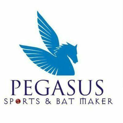 Pegasus Sports Logo - Pegasus Sports (@RansubheMahesh) | Twitter