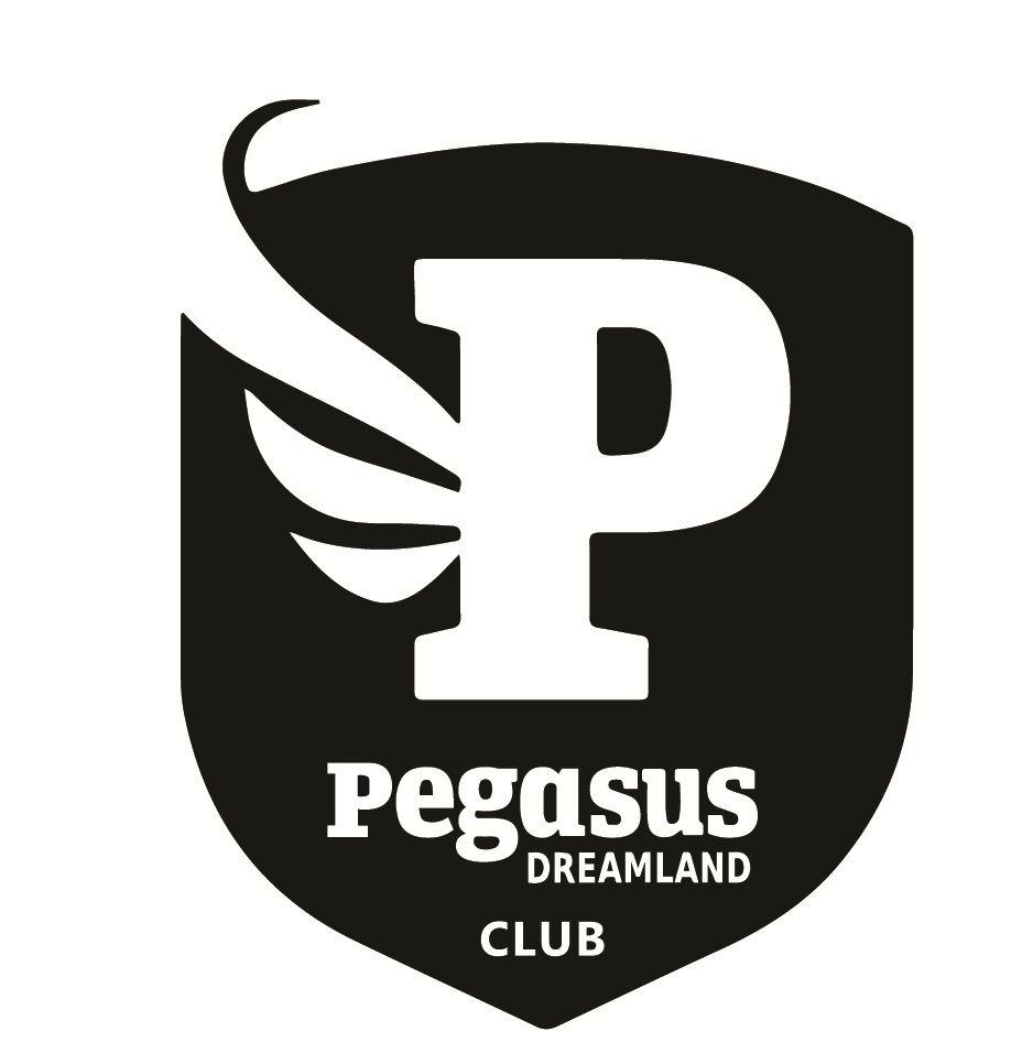 Pegasus Sports Logo - Bahgat Group::