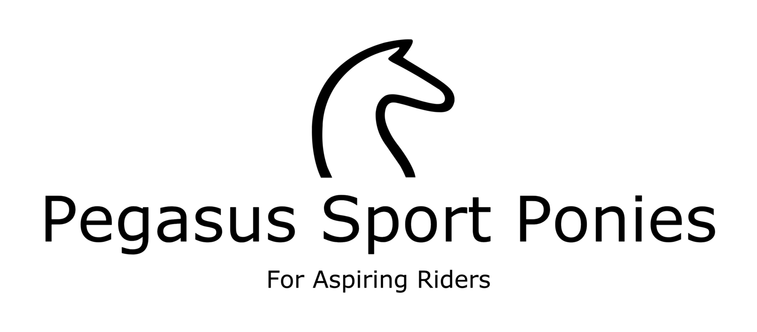 Pegasus Sports Logo - Pegasus Sport Ponies