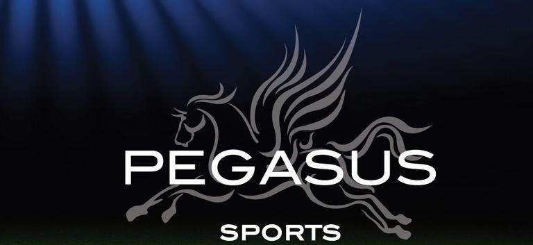 Pegasus Sports Logo - Pegasus Sports | Wayfair