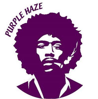 Purple Haze Logo - Purple Haze 2011: A Retrospective