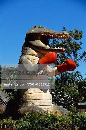 Boxing Crocodile Logo - Statue of Alligator with Boxing Gloves Northern Territory, Australia ...