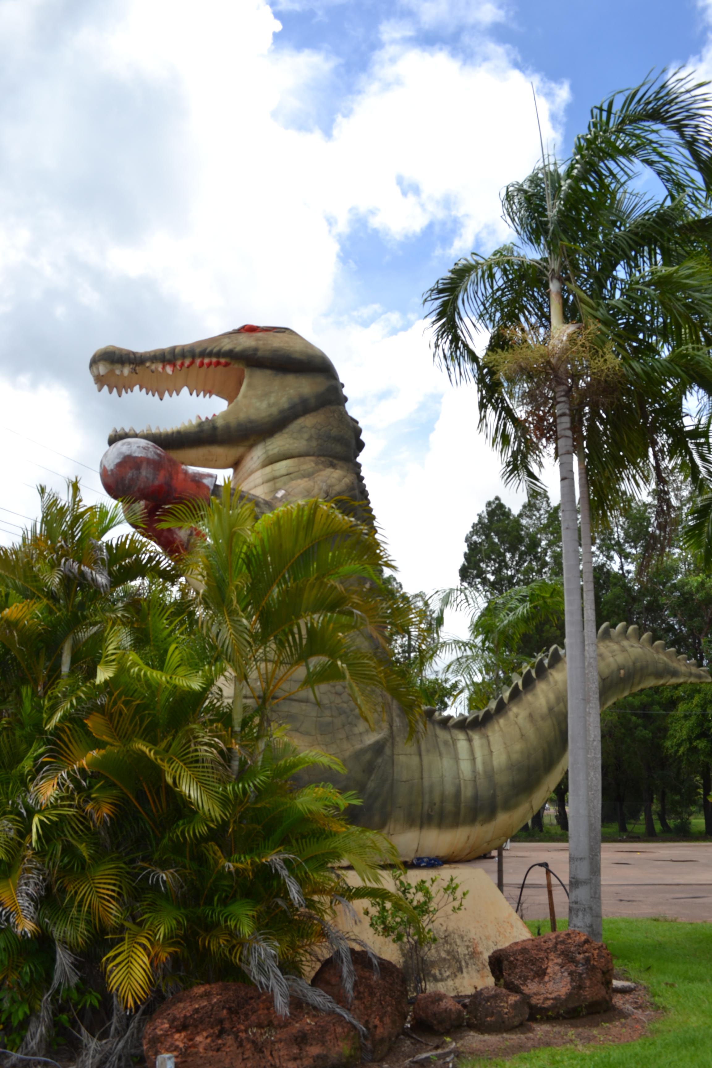 Boxing Crocodile Logo - Northern Territory | Tropical Territory & Travel | Page 2