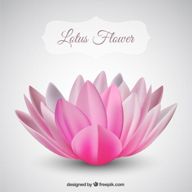 Pink Lotus Flower Logo - Pink lotus flower Vector