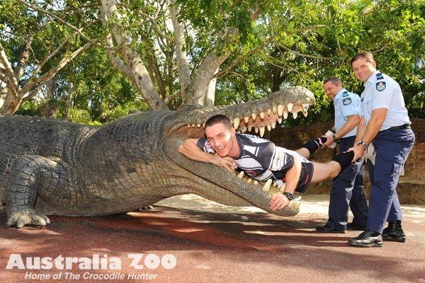 Crocodile From Australia Zoo Logo - Australia Zoo - About Us - Zoo News - Never smile at a crocodile!