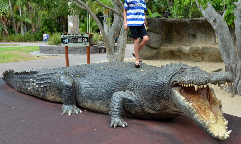 Crocodile From Australia Zoo Logo - Travel With Giulio: Australia Zoo - plenty of wildlife, plenty of ...