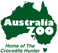 Crocodile From Australia Zoo Logo - Australia Zoo