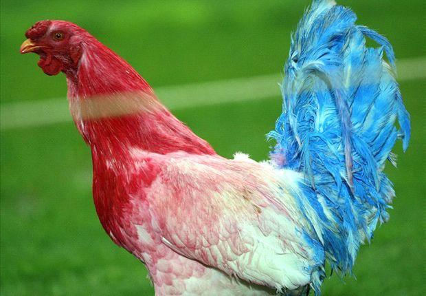 French Rooster Logo - Why the Gallic rooster is the symbol of the France national team