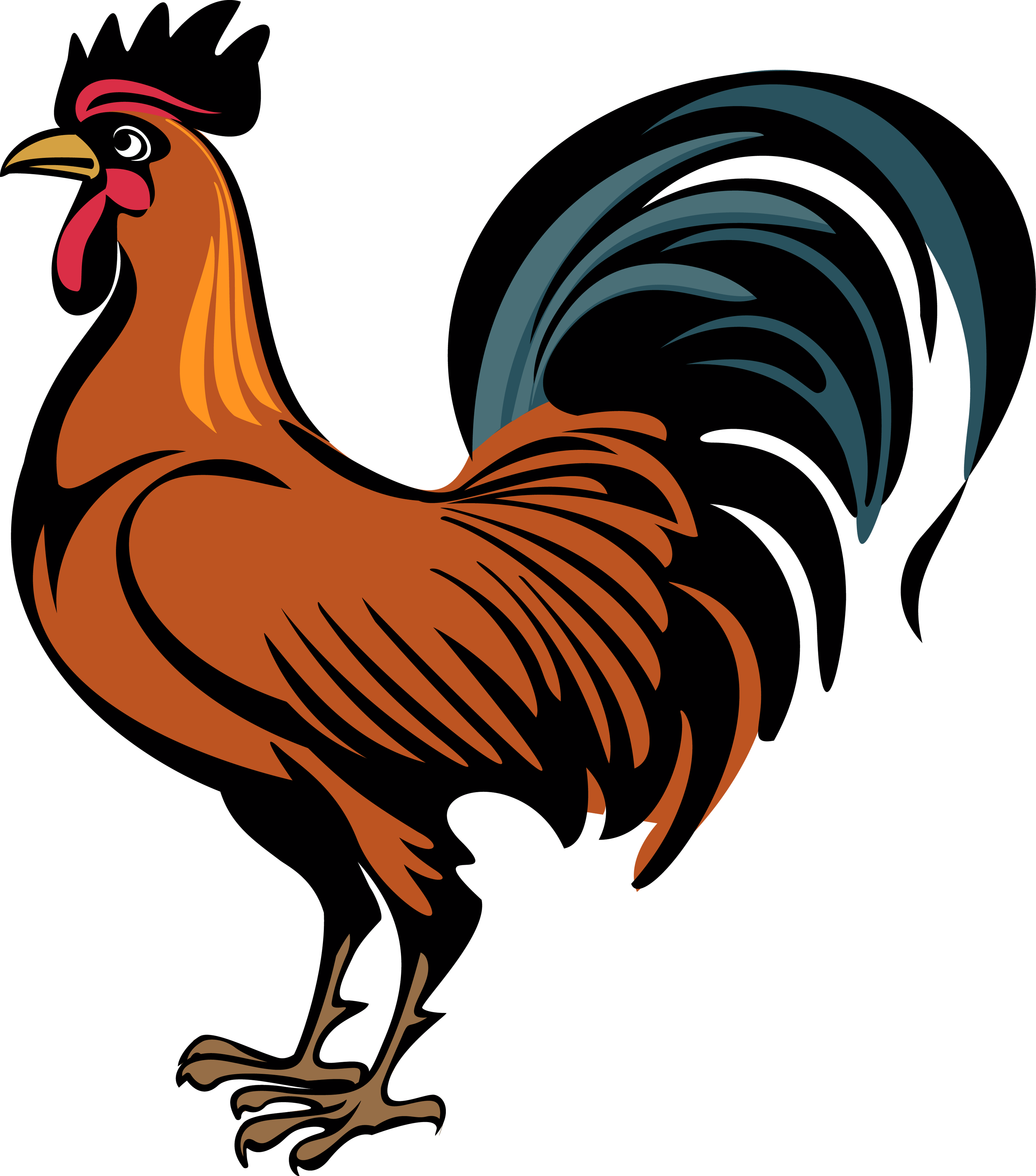 Rooster vector hi-res stock photography and images - Alamy