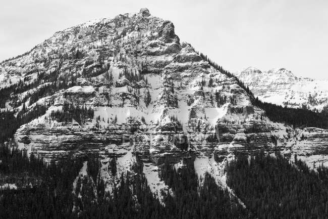 Black and White Mountain Peak Logo - Snowcapped mountain peak with pine trees, black and white — mountain ...