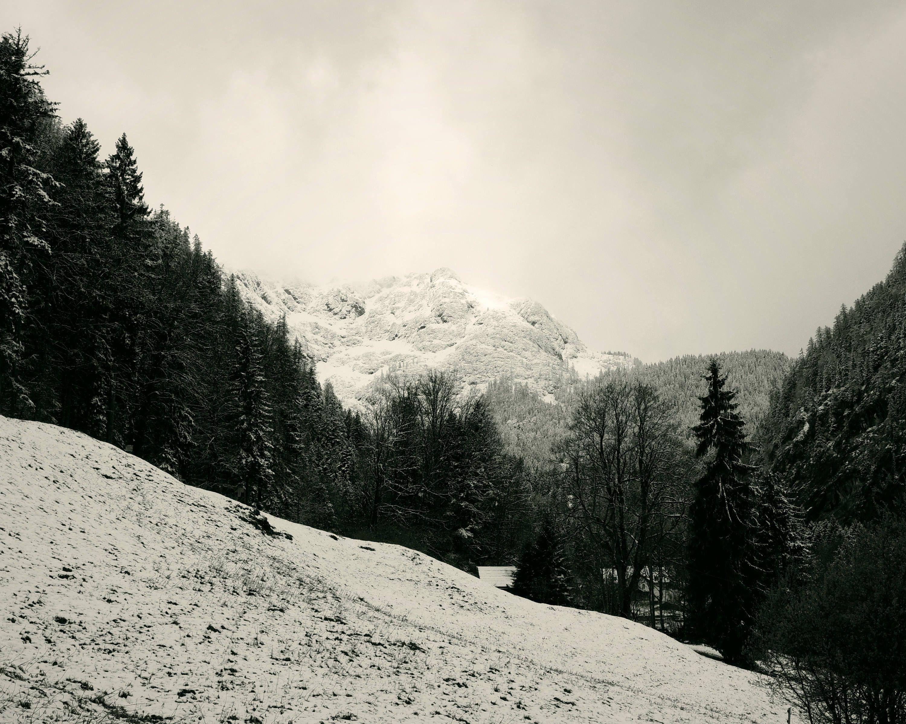 Black and White Mountain Peak Logo - Winter mountain, printable art photography Austria peak summit trees ...
