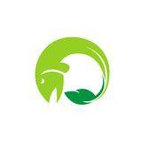 Green Fish Logo - Fish Logo Design Vector