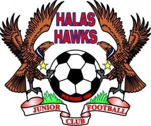 Hawks Football Logo - Halas Hawks JFC