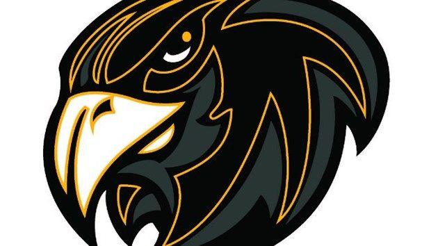 Hawks Football Logo - LogoDix