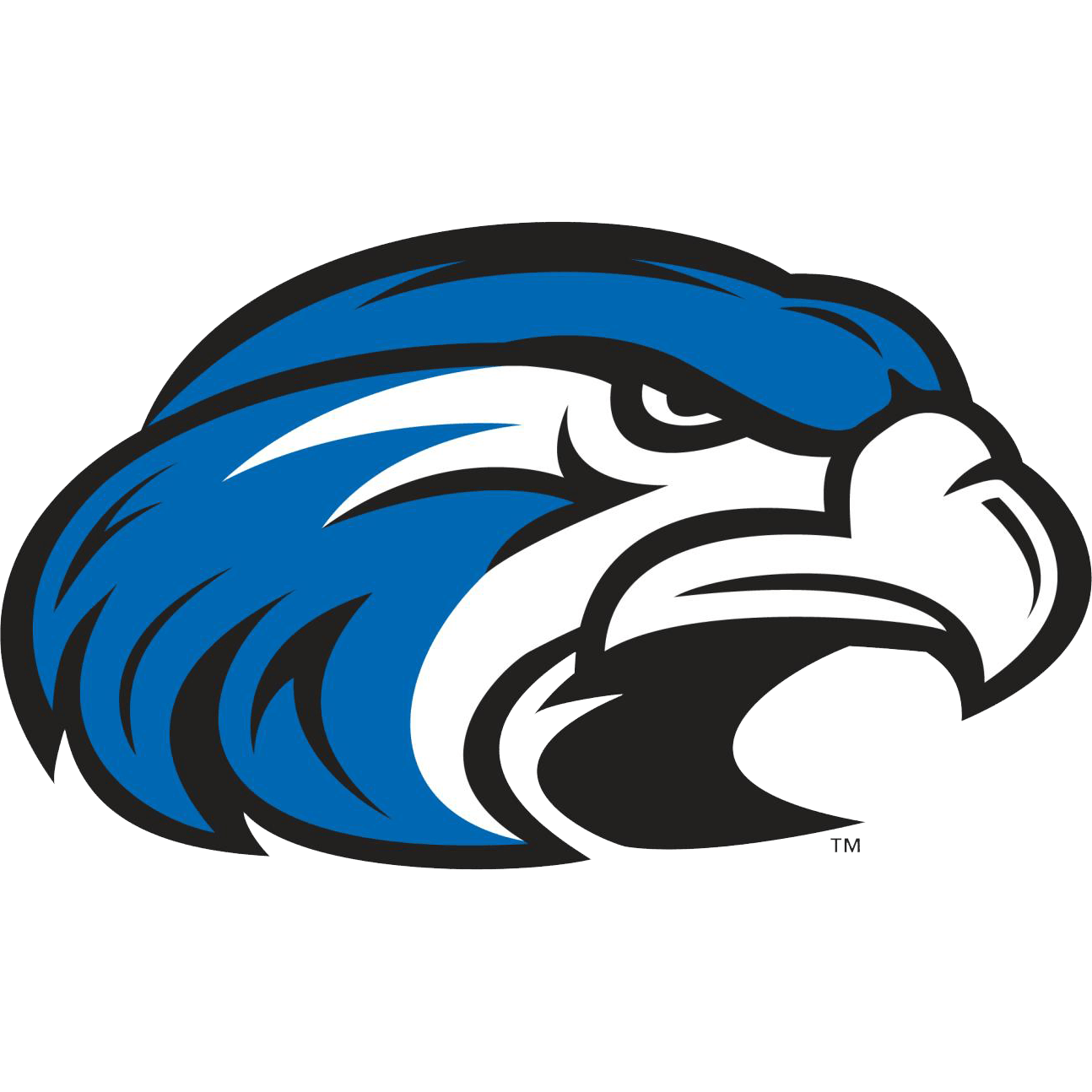 Hawks Football Logo - Hawks football vector free library - RR collections
