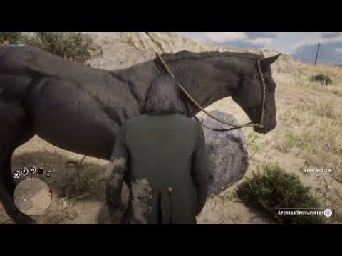 Red Black Horse Logo - Red dead redemption 2: full black race horse location - YouTube