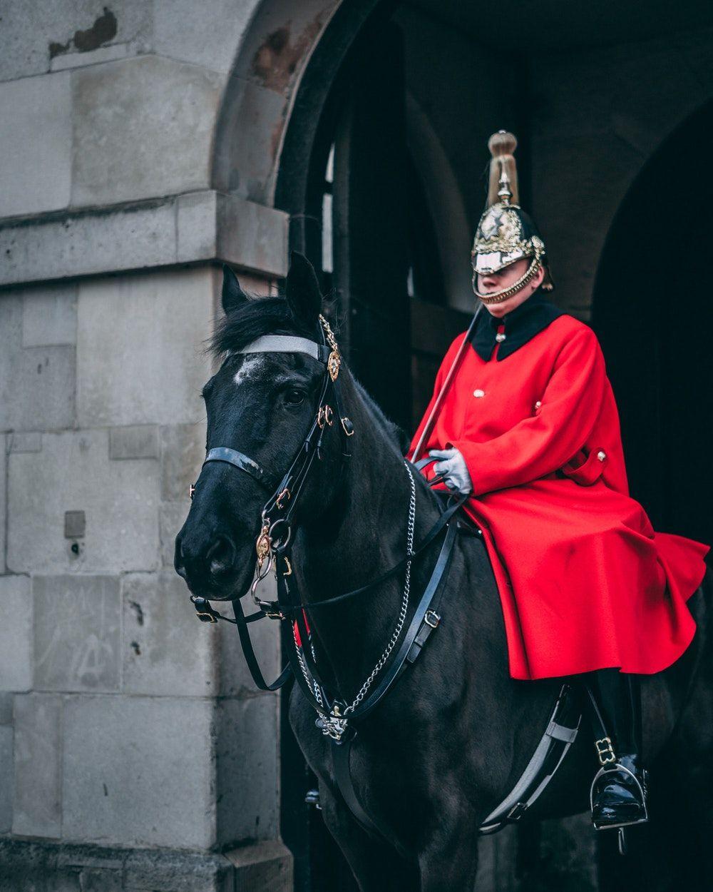 Red Black Horse Logo - 500+ Black Horse Pictures [HD] | Download Free Images on Unsplash