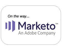 Marketo Logo - marketo-logo - ONEcount