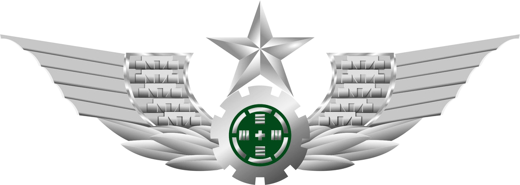 Chinese Air Force Logo - People's Liberation Army Ground Force