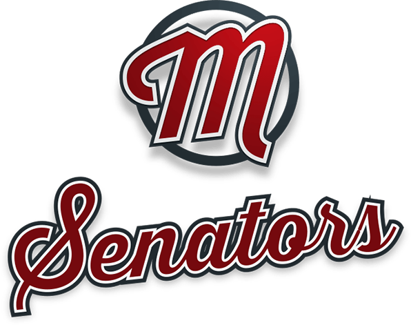 Senators Logo - Portfoli Metro Senators Logo Digital Strategies, Inc