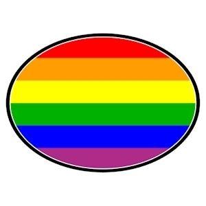 Rainbow Oval Logo - Large Flexible Oval Rainbow Magnet