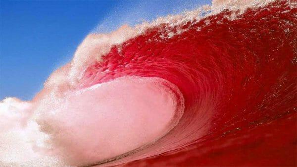 Red Wave Republican 2018 Logo - 2018: The Surprising Republican Opportunity