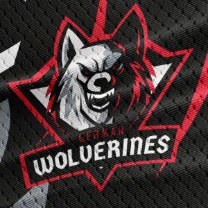 Cool Wolf Gaming Logo - Gaming Logo Templates Archives - gaming-logo-maker.com