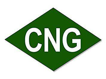 Green Diamond Logo - Amazon.com: MAGNET GREEN Diamond Shaped CNG Logo Magnet(compressed ...