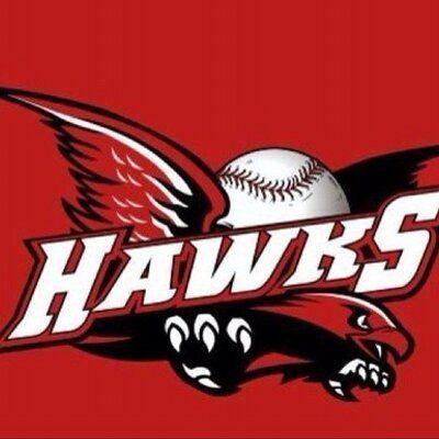 Hawks Baseball Logo - Hawks Baseball