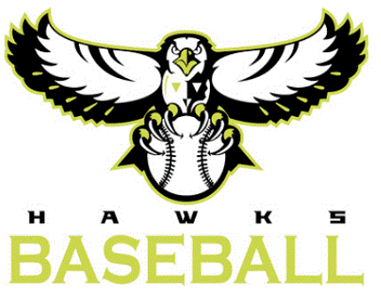 Hawks Baseball Logo - Details