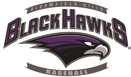 Hawks Baseball Logo - Bloomfield Hills Schools - Baseball