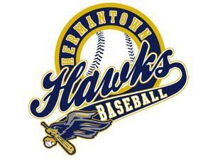 Hawks Baseball Logo - Hermantown Youth Baseball
