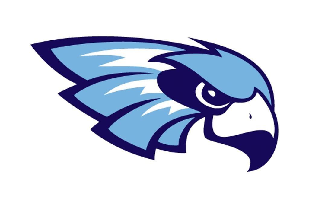 Hawks Baseball Logo - Jr. J-Hawk Baseball