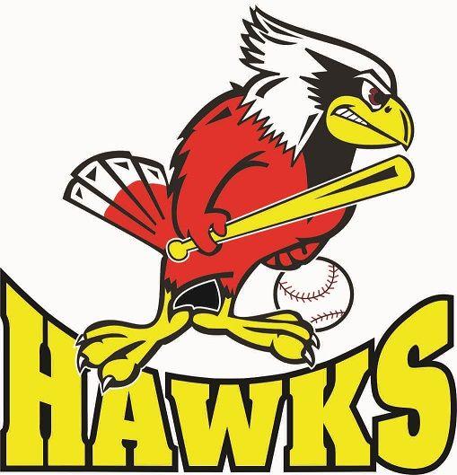 Hawks Baseball Logo - Greely Hawks Baseball - (Greely, ON) by LeagueLineup.com