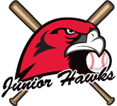 Hawks Baseball Logo - Park Ridge Junior Hawks Baseball Club - Home