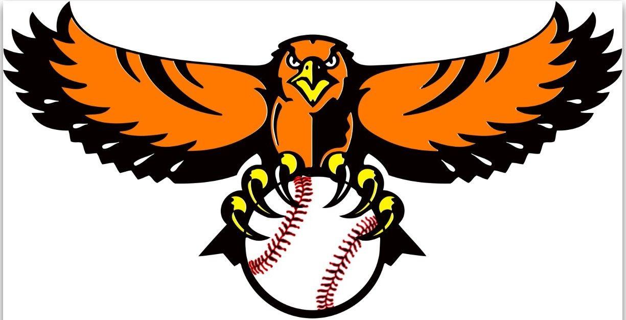 Hawks Baseball Logo - HOUSTON HAWKS BASEBALL