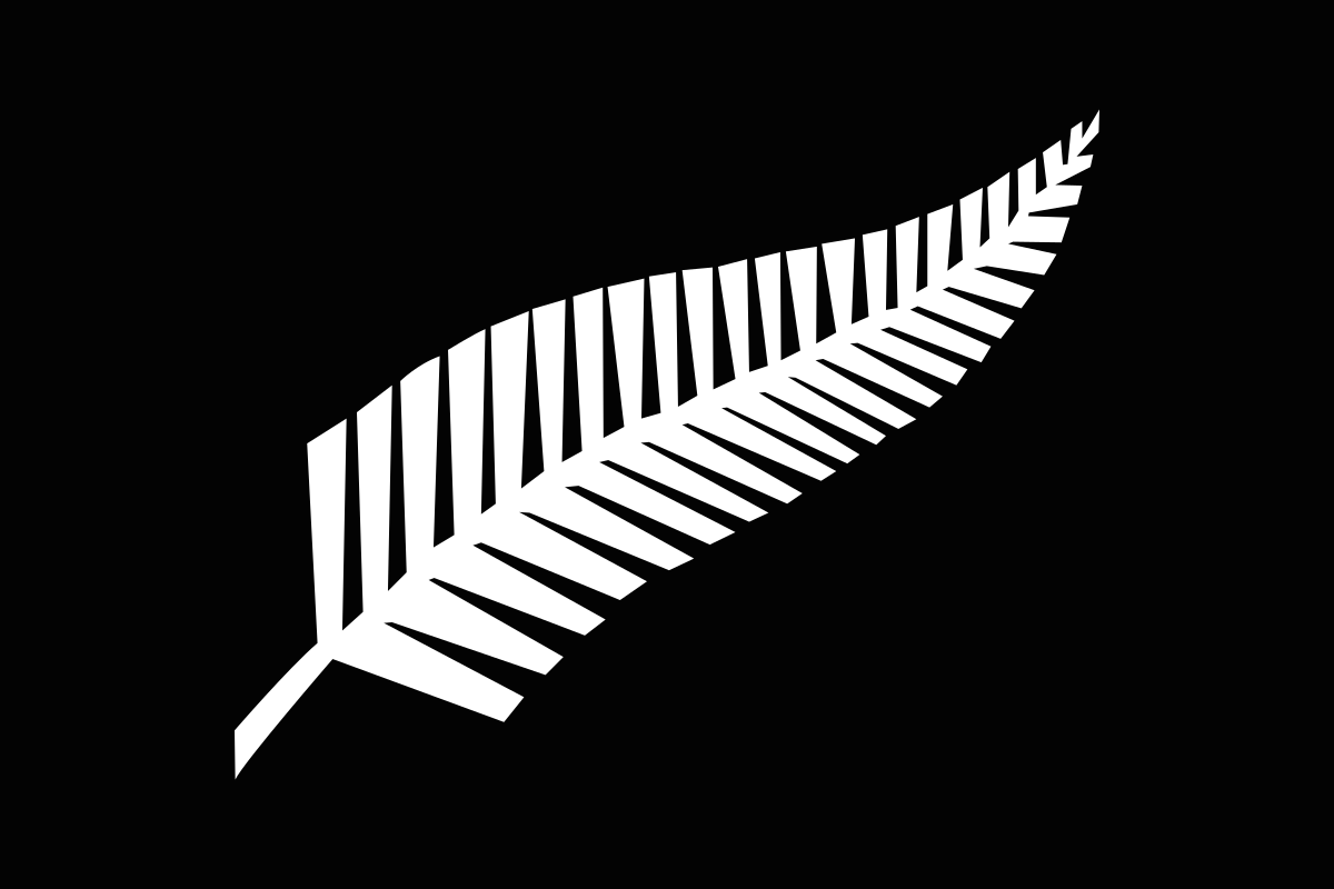 All Blacks Logo - Silver fern flag
