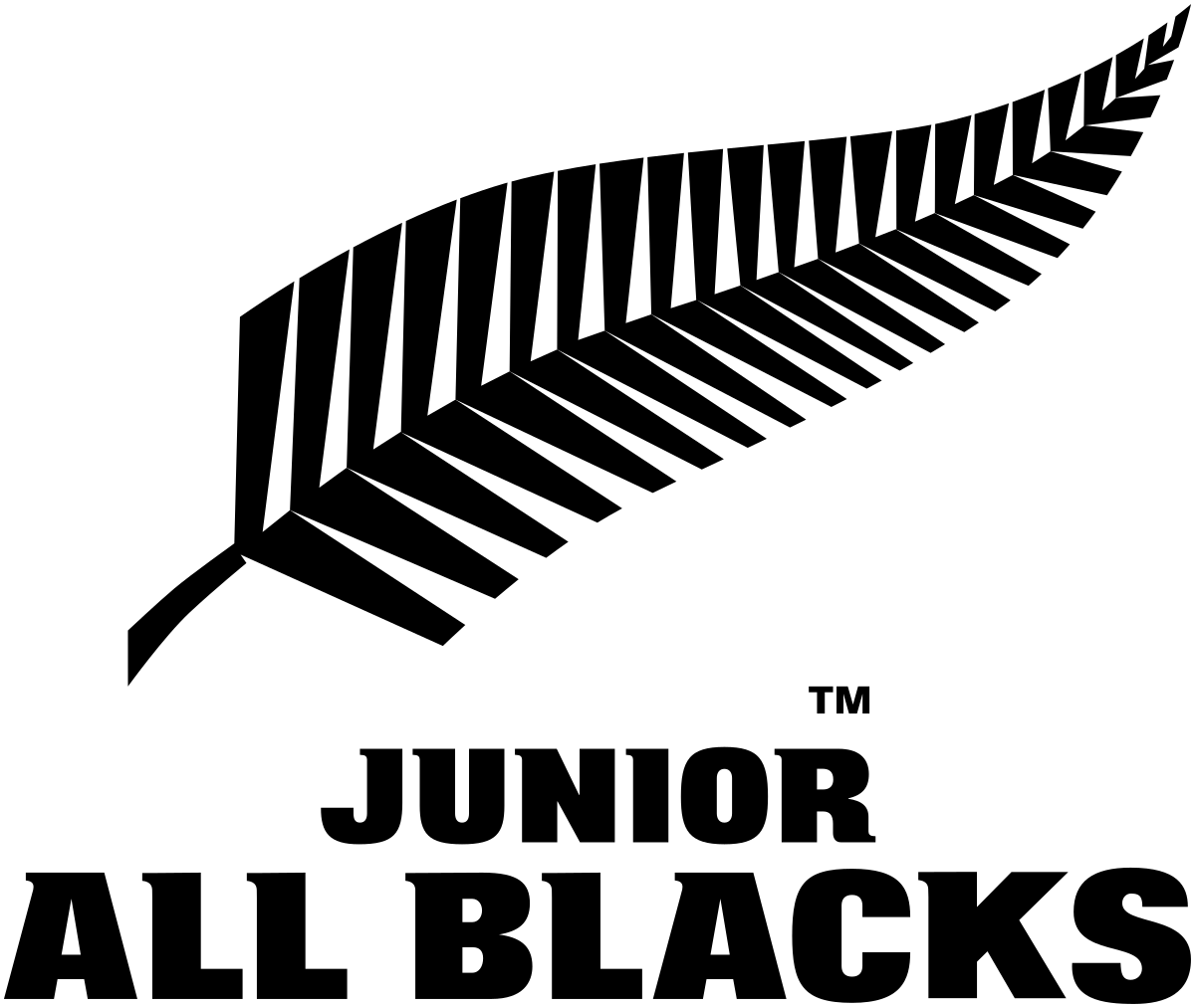 All Blacks Logo - Junior All Blacks