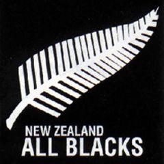 All Blacks Logo - All Blacks get new logo for Lions series | Sport24