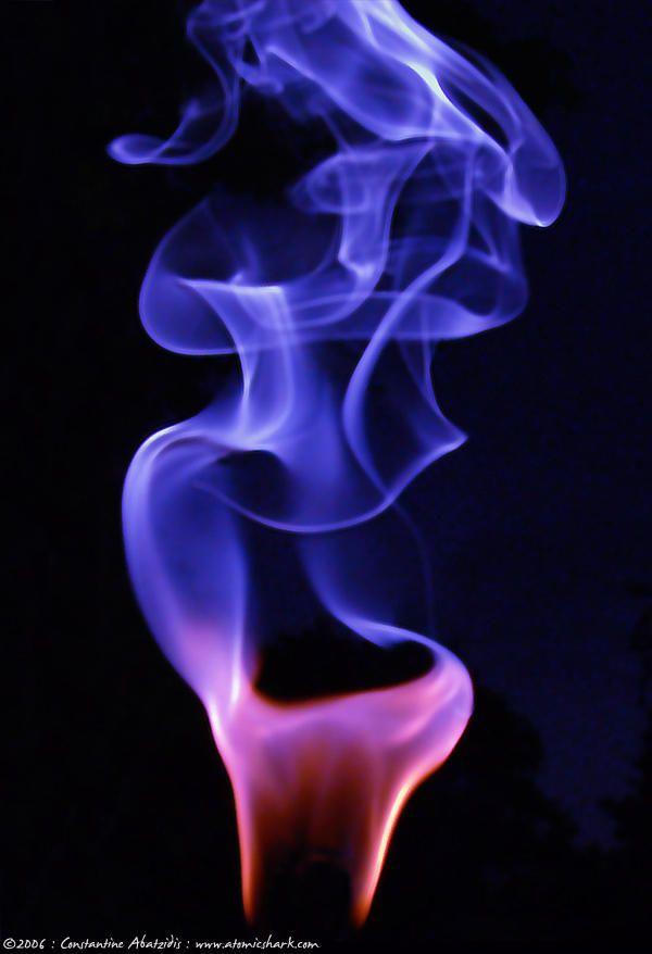 Magenta Flame Logo - magenta flame