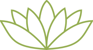 Green Lotus Flower Logo - Outlined Green Lotus Clip Art at Clker.com - vector clip art online ...